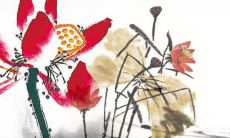 生肖运势天天看:2022年10月25日特吉生肖有哪些