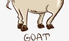 2023年属羊人的桃花运好不好 有什么方法可以提升桃花运