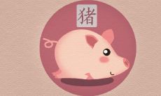 2022年生肖猪全年运势 属猪人2022年事业好不好