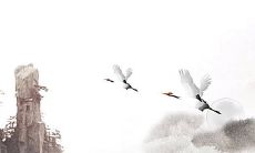 2022年10月28日生肖运势:特吉生肖带衰生肖查询