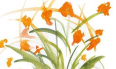 2022年10月31日属相运势与特吉生肖查询