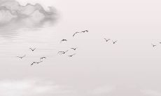 12生肖运:2022年10月29日属什么 特吉生肖是哪几个