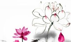 2022年10月24日特吉生肖查询 今日属什么生肖