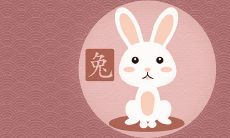 属兔人逢兔年运势 2023年运势怎么样