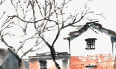 生肖运势天天看:2022年11月2日特吉生肖有哪些