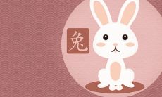 属兔2022年感情婚姻运 对待爱情的态度