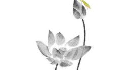 2022年10月30日冲煞生肖情况 特吉生肖查询