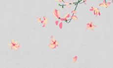 男方上门提亲带什么礼物 体现自身的诚意