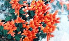 结婚双方父母的衣服谁买 共同协商决定