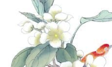 2022年12月商铺开业最吉利日期 生意兴隆的开业日子