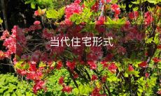 当代住宅形式