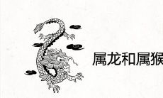 属龙和属猴的婚姻相配吗