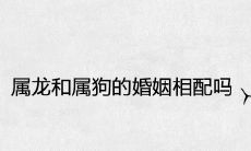 属龙和属狗的婚姻相配吗