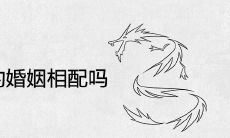 属龙和属羊的婚姻相配吗