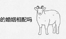 属鼠和属羊的婚姻相配吗