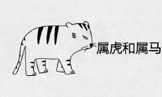 属虎和属马的婚姻相配吗