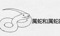 属蛇和属蛇的婚姻相配吗