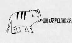 属虎和属龙的婚姻相配吗