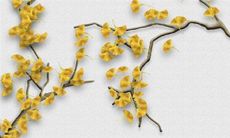 2022年生肖属狗在8月适合出门旅行的好日子 出游吉日查询