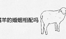 属虎和属羊的婚姻相配吗