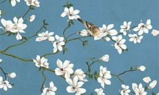 2022年8月28日宜外出游玩吗 出行日子好吗