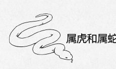 属虎和属蛇的婚姻相配吗