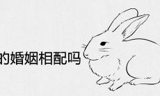 属兔和属兔的婚姻相配吗