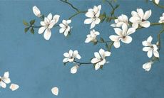 2022年8月27日适合出门游玩吗 出行日子查询