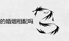 属龙和属猪的婚姻相配吗