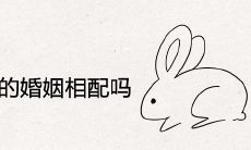 属兔和属马的婚姻相配吗