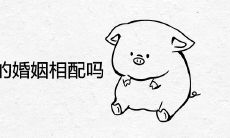 属虎和属猪的婚姻相配吗