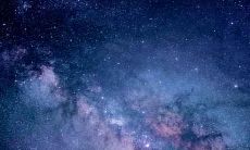 1967年属羊人2021年工作事业运势如何