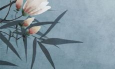 2022年8月生肖属马适合出门旅行的好日子 出行好时机