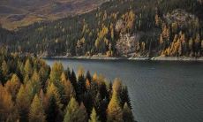 属羊男属马女是上上婚,他们婚配是上上婚