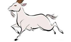 属羊女喜欢什么样的男人 属羊女喜欢什么类型的人