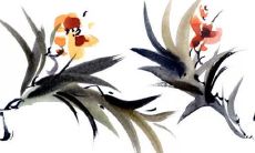 2022年1月5日小寒五行穿衣指南 今日衣服颜色搭配