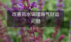 改善风水调理晦气财运问题