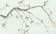 为什么说正月初二的女孩命硬 财源广进生活顺遂