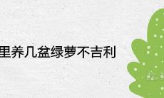 家里养几盆绿萝不吉利