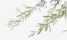 2023年大年初三吉时吉方 兔年农历初三日子大吉吗