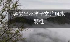 容易出不孝子女的风水特性