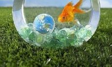 鱼缸摆放宜忌 让衰运再也不找上门