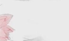 2023年初二开市好吗 2023年初二财神方位