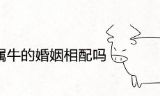 属牛和属牛的婚姻相配吗