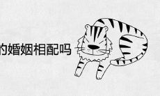 属虎和属兔的婚姻相配吗