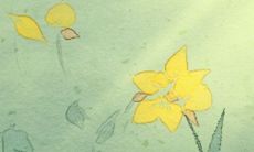 十二星座办公室生存法则