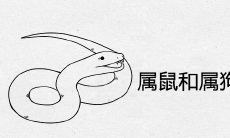 属鼠和属狗的婚姻相配吗