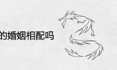 属牛和属龙的婚姻相配吗