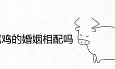 属牛和属鸡的婚姻相配吗