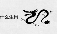 龙的六合是什么生肖